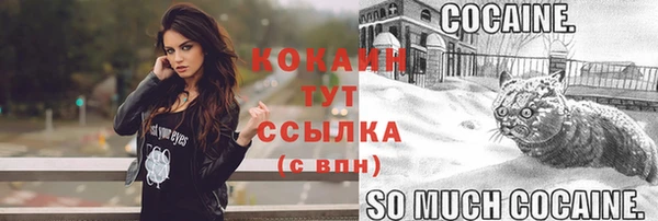 ПСИЛОЦИБИНОВЫЕ ГРИБЫ Вяземский